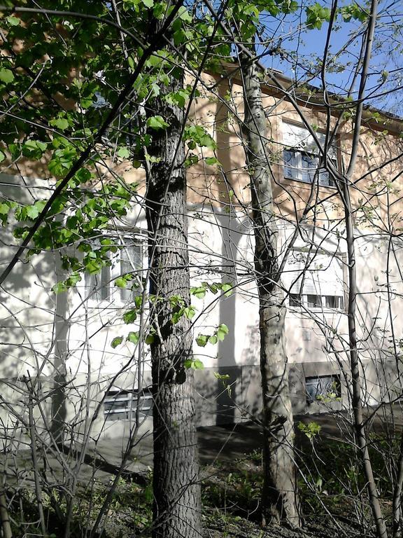 Belvárosi Vendégház Miskolc Extérieur photo